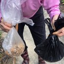 마트 백두대간