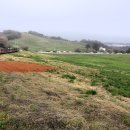 한태목장 이미지