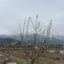 청솔바이오 이미지