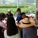 문백면사무소 이미지