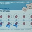 김밥천국안산일동
