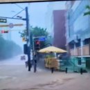 인천 호우 경보 비 피해 속출 이미지