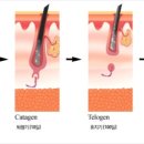 모식외과의원 이미지
