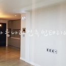 블루시안 이미지