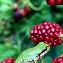 청사랑약국 이미지