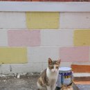 거묵프리미엄 상가 이미지