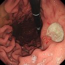 일등내과의원 이미지