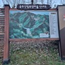 공주-57 | 57. 공주 산림휴양마을 야영장 캠핑후기