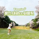 용인 태광cc 퍼블릭 동코스 9홀 코스 후기