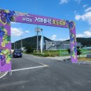 가을렌탈 이미지