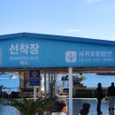 제주 보고정 투어 | 겨울 제주여행 3일차ㅣ서귀포유람선&amp;카페미깡감귤밭 체험 후기 (제주투어패스 O)