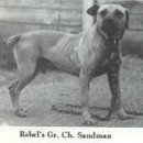 GR kennel Daum카페