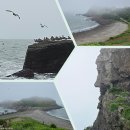 등대약국 앞 이미지