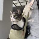 오묘화당 이미지