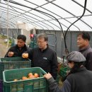 현곡농장 이미지