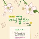 메밀꽃카페 이미지