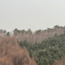 해뜰하늘펜션 이미지