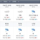 (주)수요일 Daum카페