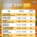영암국민체육센터 실내체육관 네이버블로그