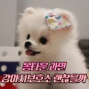 몽타운 이미지