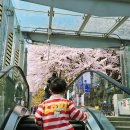 용인-구갈-구갈4 이미지