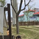 데굴데굴 이미지