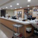 현대해상화재보험(주) 제주