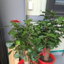 누리팜(주) 이미지