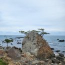 해파랑길 10코스(정자항~나아해변까지)를 걷다 : 2부 이미지