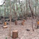 서귀포 치유의 숲 이미지
