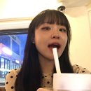 호창투어 | 상반기결산!!!