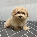 위더스동물병원 이미지