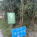 영진반점 | 강릉 짜장면집 청솔반점 영진해변 근처 현지인 맛집