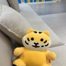 수북한 도시락 | 11월 1️⃣