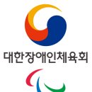 2024 파리 패럴림픽 8일차, 대한민국 메달 순위 17위…종목별 성과 계속 이미지