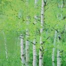 아크릴화 이미지