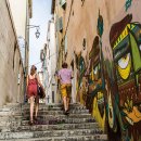 (주) 설산목장 이미지