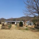 [Chapter 2-4] 라리마정원_재방문 후기