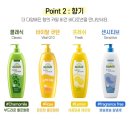 카밀 바디로션 500ml 2개+미니 핸드크림 11,200원 이미지