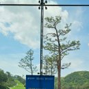 센테리움CC(대중제) | 센테리움cc 라운드후기/ 매트걷어났네요