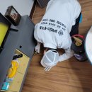 파주방역