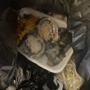 하남수산물전통시장 | 안여사님 생신파티 하남수산물시장 포장후기:일오삼수산 내돈내산