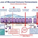 Re:Zonulin, a regulator of epithelial and endothelial barrier functions, and its involvement in chronic inflammatory diseases 이미지