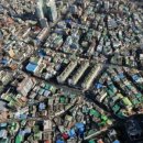 하이엔드독