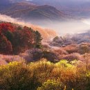 비밀의 정원 이미지