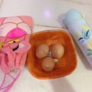 중앙해수랜드 이미지