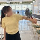 여주-0452 | 여주앵무새카페 리프패럿 여주점 이색데이트 추천해요!