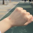 복대1동 행정복지센터 이미지