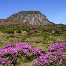 호텔자유2 이미지