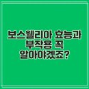 보스웰리아 효능과 부작용 꼭 알아야겠죠?